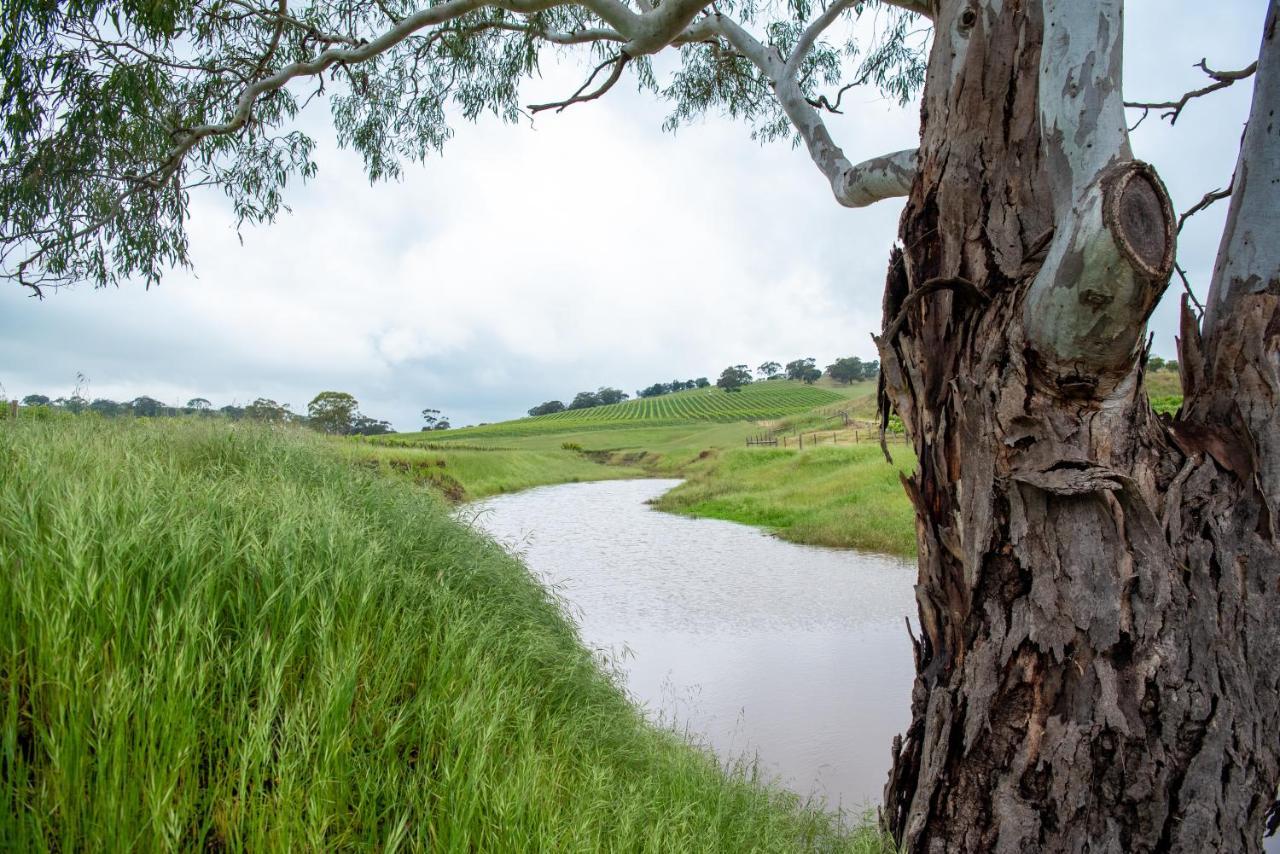 Triple Creek Guest House - Barossa Region Seppeltsfield 외부 사진
