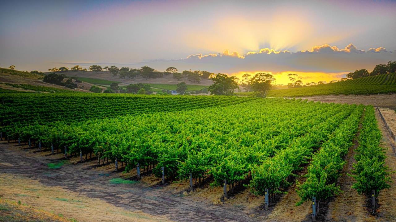 Triple Creek Guest House - Barossa Region Seppeltsfield 외부 사진