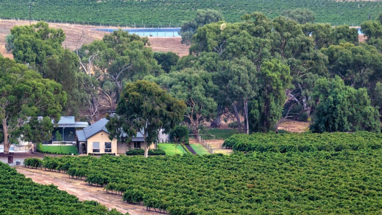 Triple Creek Guest House - Barossa Region Seppeltsfield 외부 사진